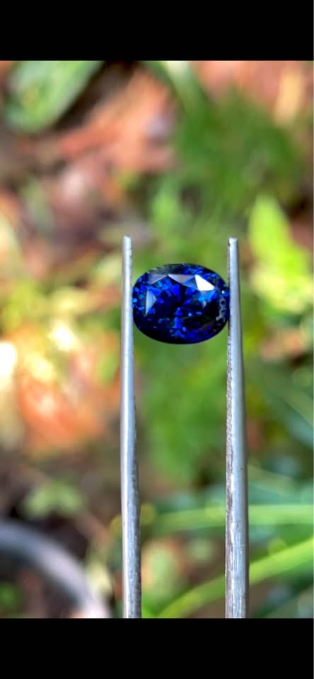ROYAL BLUE SAPPHIRE